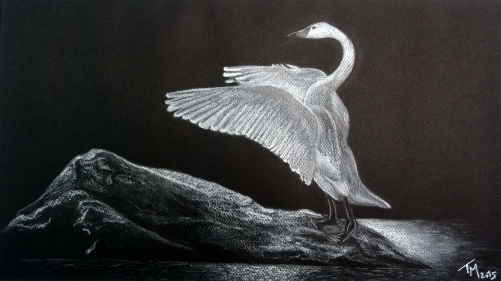 thierry mejean dessin art artiste peinture pastel