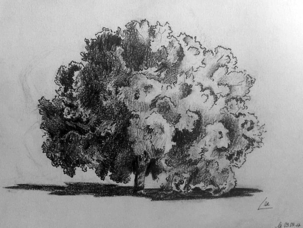 Cholé Légionnet art artiste dessin graffiti